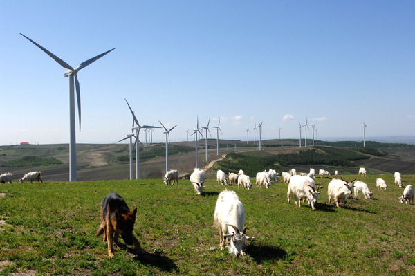 龍源電力35KV變壓器中性點接地電阻柜發(fā)運抵運現(xiàn)場